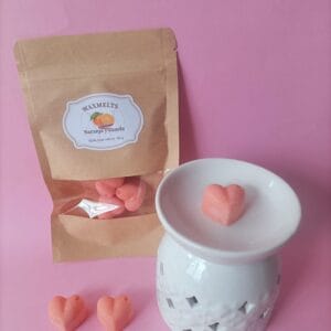 Waxmelts de Naranja y Canela