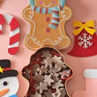 WhatsApp Image 2025-11-16 at 13.58.14 (1)